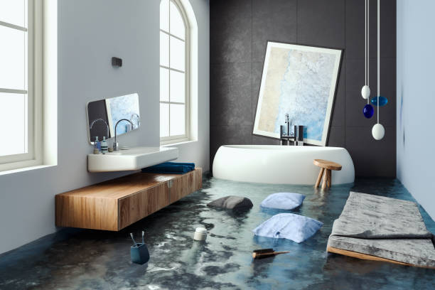Best Mold removal after water damage  in Keedysville, MD