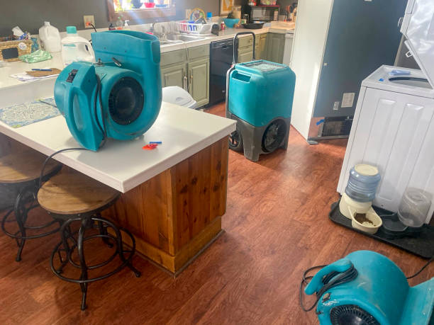Best Water damage restoration services  in Keedysville, MD