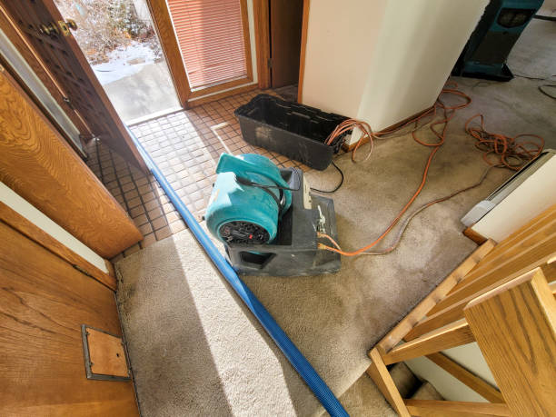 Best Ceiling water damage repair  in Keedysville, MD