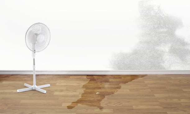 Best Fire Damage Restoration  in Keedysville, MD