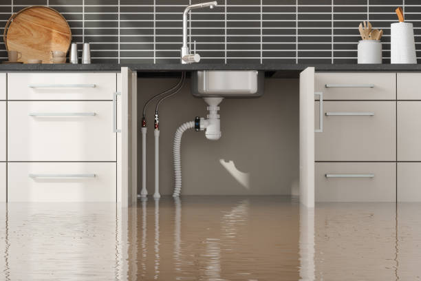 Best Flooded house restoration  in Keedysville, MD