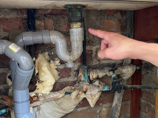 Best Water damage restoration mold remediation  in Keedysville, MD