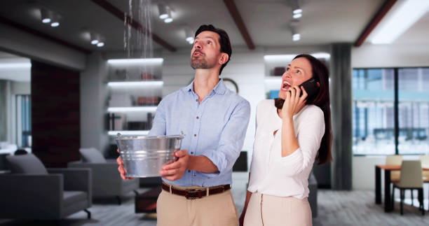 Best Local water damage restoration  in Keedysville, MD