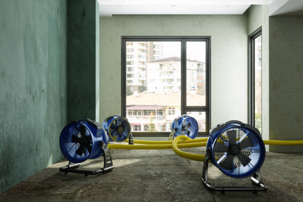 Best Commercial water damage restoration  in Keedysville, MD