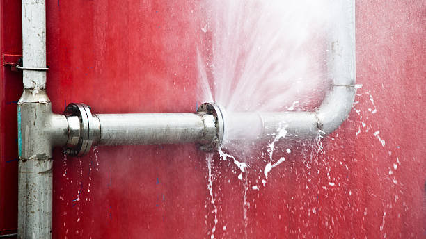 Best Carpet water damage restoration  in Keedysville, MD